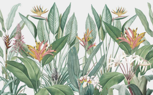 Vibrant tropical foliage in harmony Vibrant tropical foliage in harmony