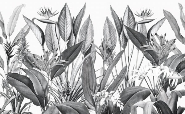 Tropikalne liście w monochromatycznych odcieniach. Tropikalne liście w monochromatycznych odcieniach.
