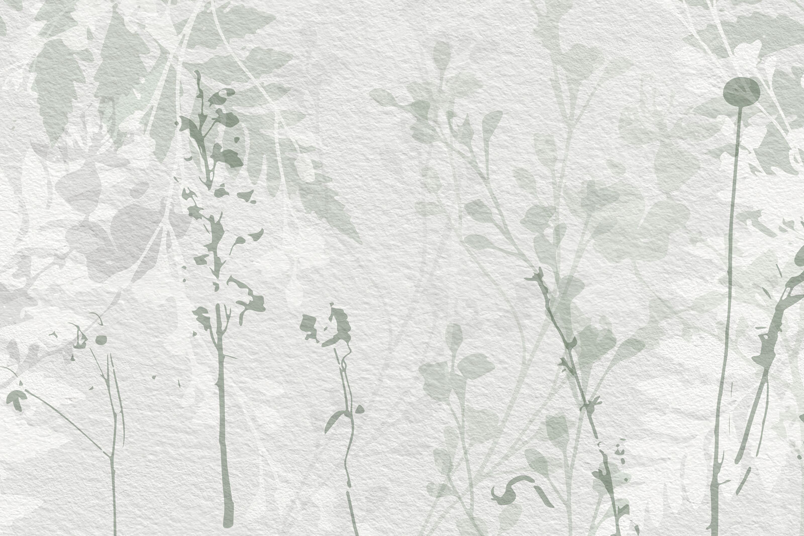 White wall with green leaves White wall with green leaves