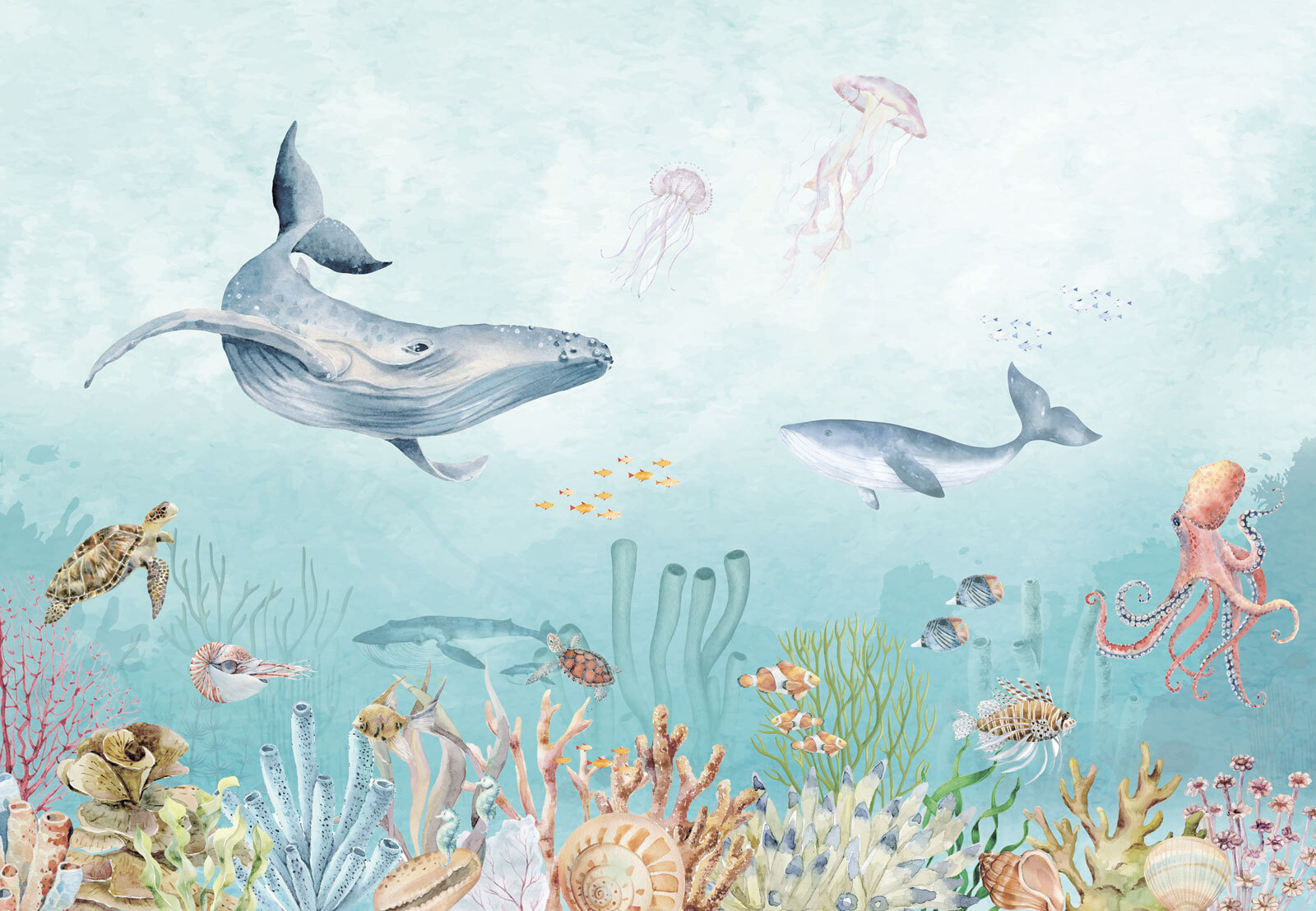 Watercolor of a sea life Watercolor of a sea life