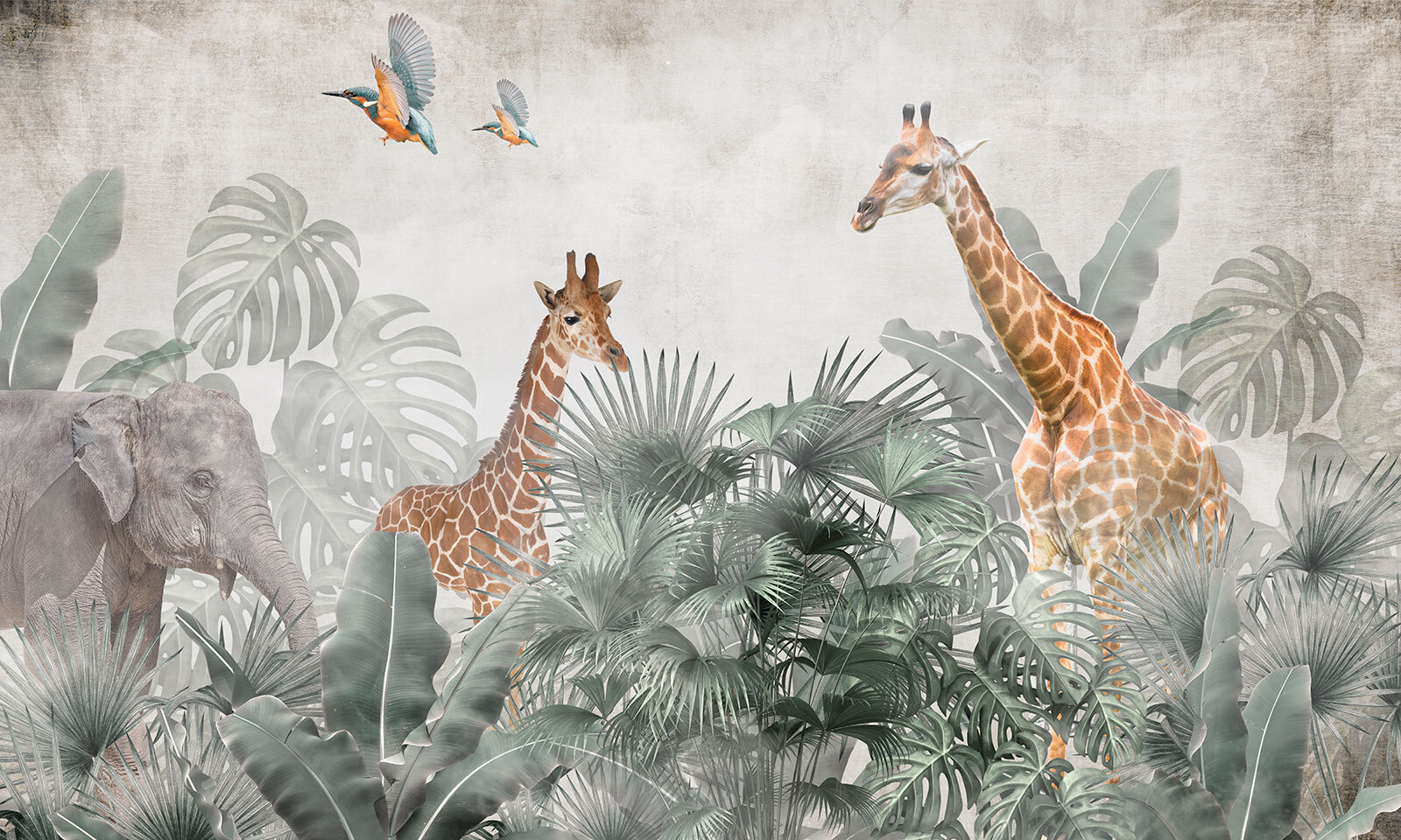 Group of giraffes in a forest