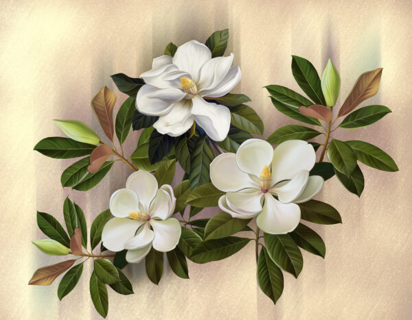 Piękne kwiaty magnolii na wystawie u95014p 600x467 - Piękne kwiaty magnolii na wystawie - tegory
