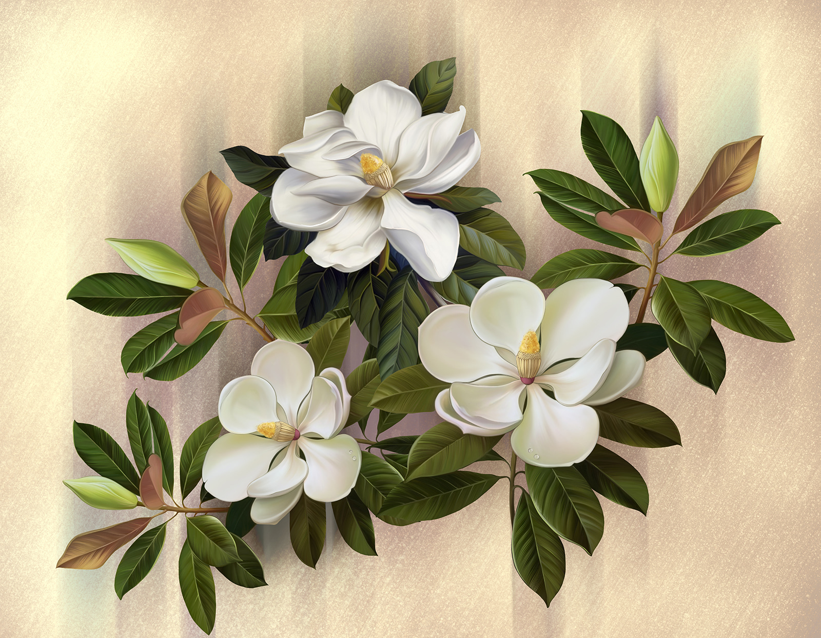 Piękne kwiaty magnolii na wystawie u95014p - Piękne kwiaty magnolii na wystawie - tegory