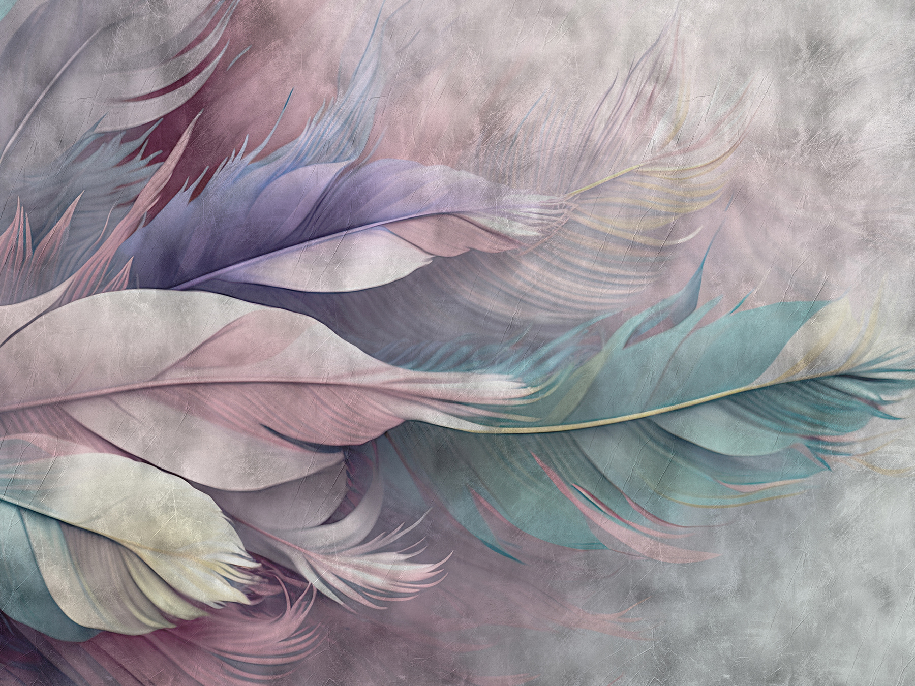 Group of feathers on a white background