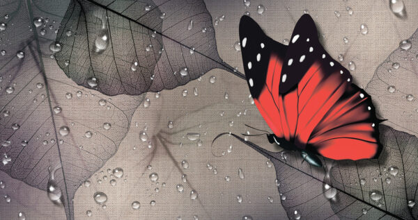 Motyl na liściu Motyl na liściu