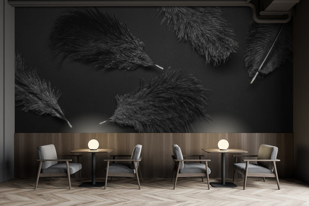 Group of black feathers Group of black feathers