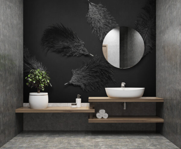 Group of black feathers Group of black feathers