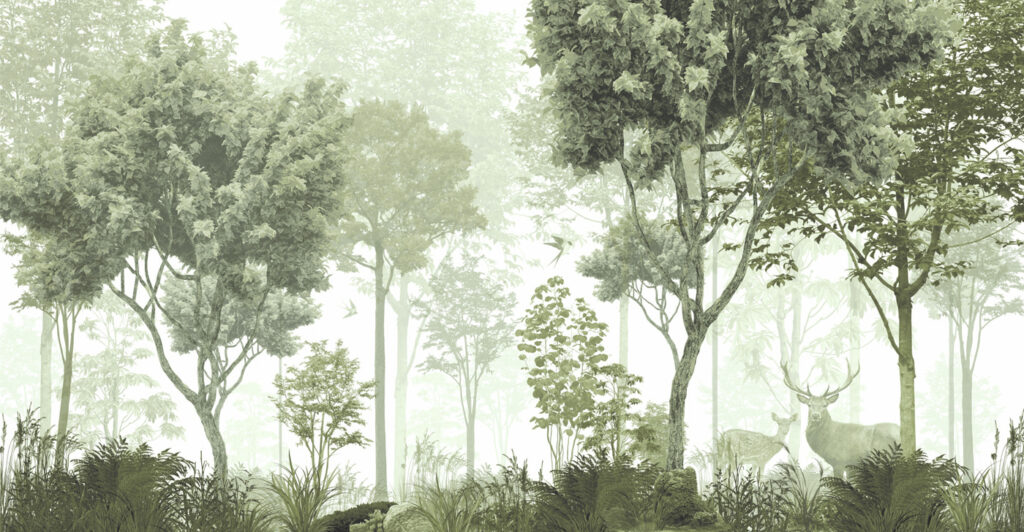 A forest with trees and plants A forest with trees and plants