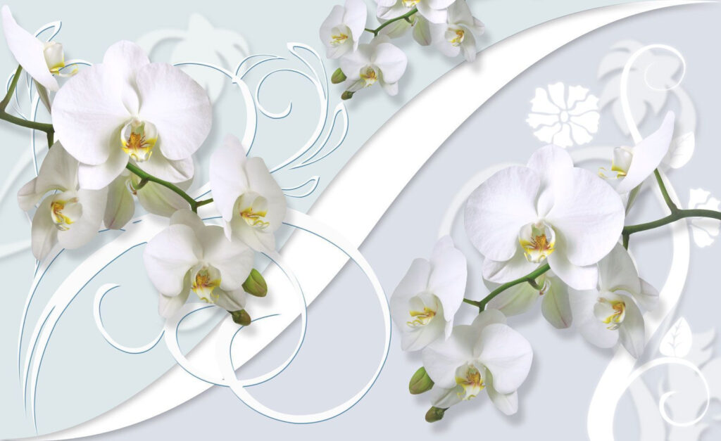 Piękne orchidee na delikatnym tle Piękne orchidee na delikatnym tle