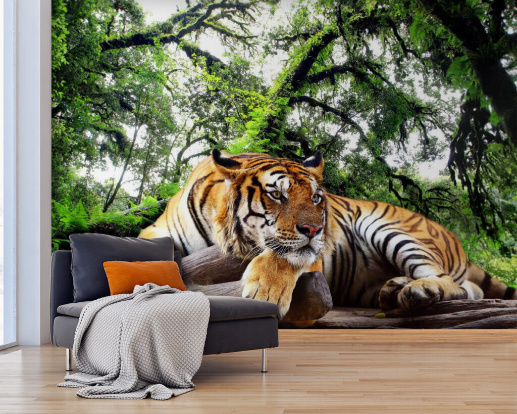 u57805pig25 1024x819 - Tygrys leżący na kłodzie - tegory