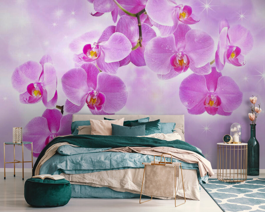 Delikatne orchidee w łagodnych odcieniach Delikatne orchidee w łagodnych odcieniach