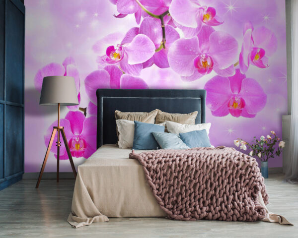 Delikatne orchidee w łagodnych odcieniach Delikatne orchidee w łagodnych odcieniach