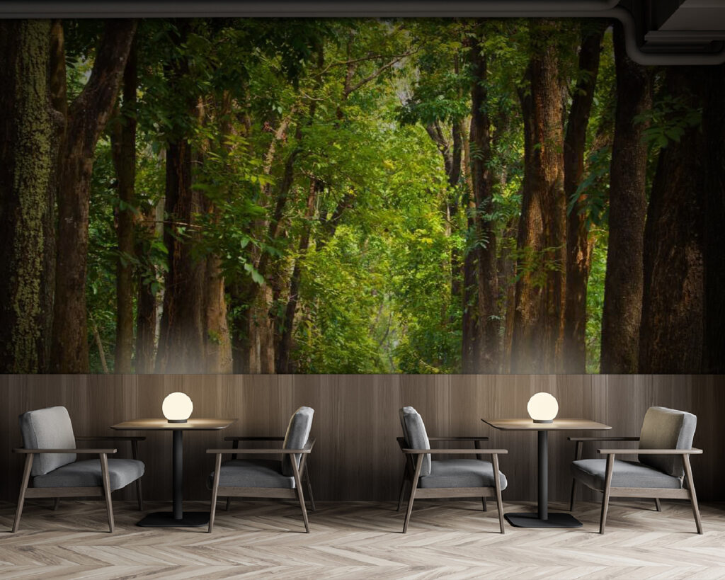 u55418piz137m 1024x819 - Ścieżka z drzewami po bokach - tegory