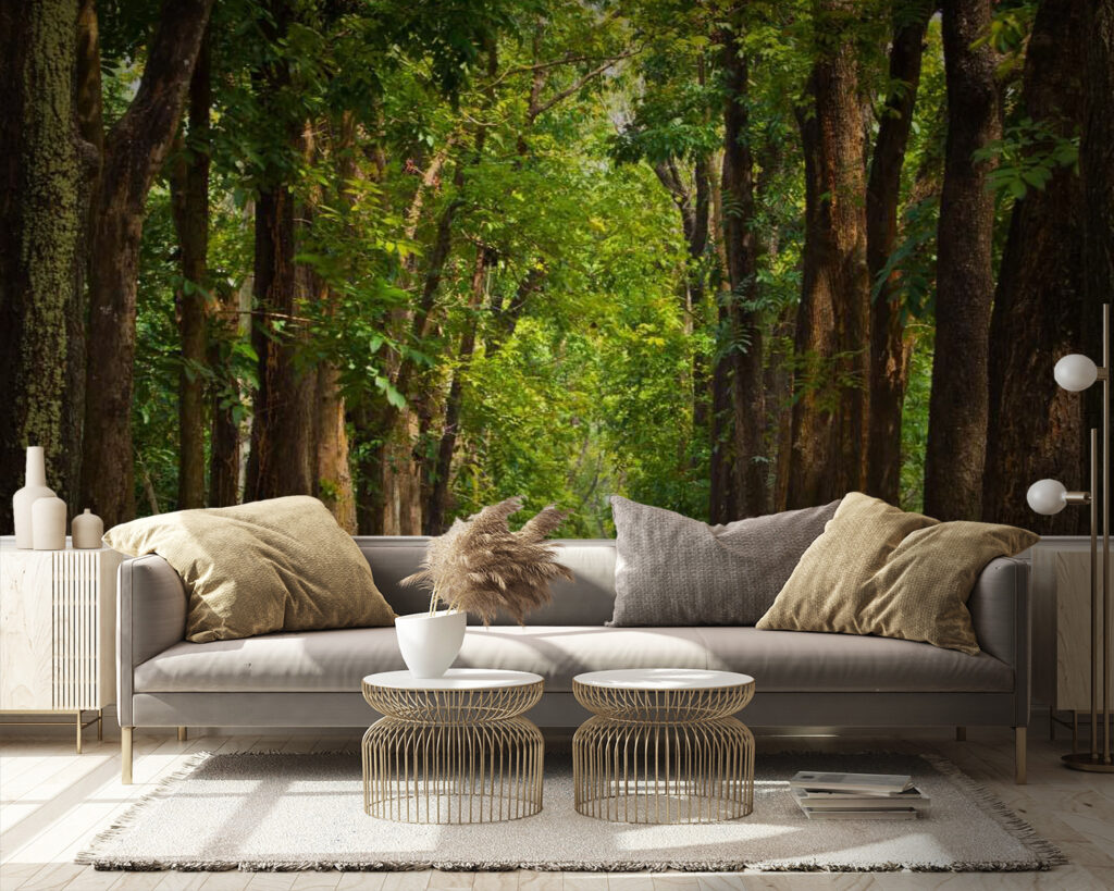 u55418pig9 1024x819 - Ścieżka z drzewami po bokach - tegory