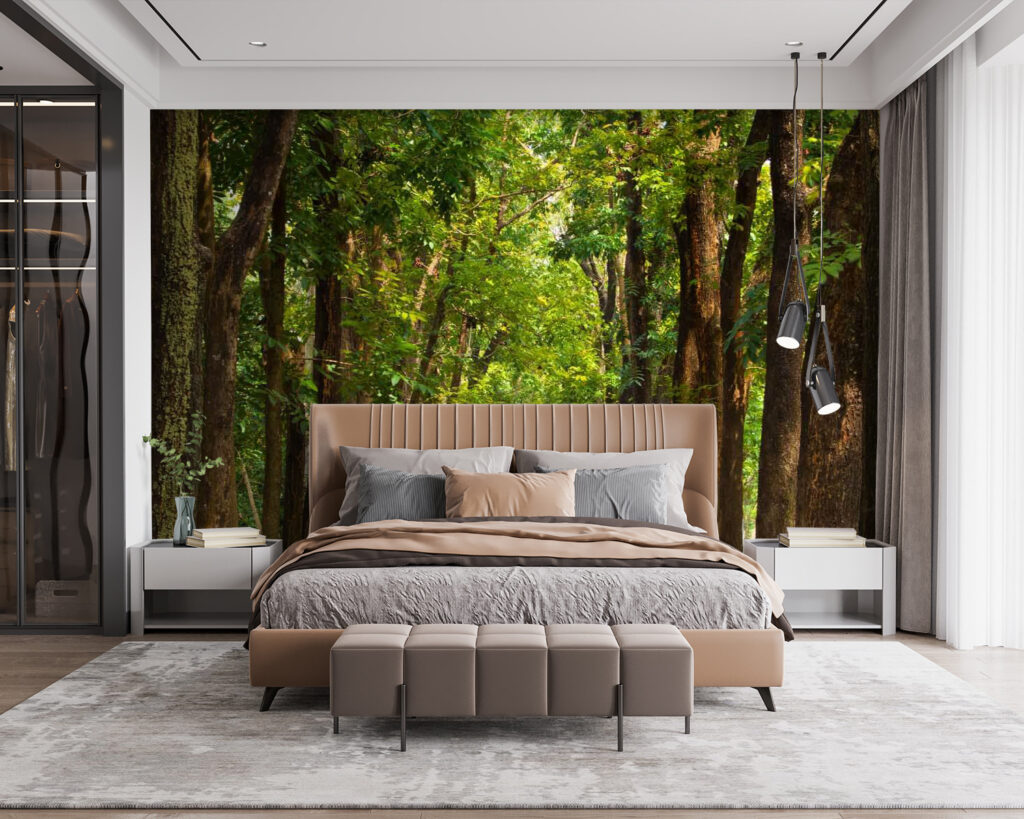 u55418pib115 1024x819 - Ścieżka z drzewami po bokach - tegory