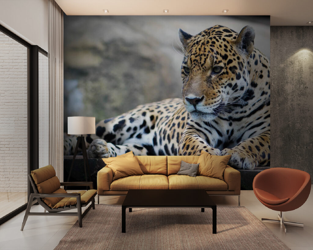 u55313pig28m 1024x819 - Lampart leżący na drewnianej powierzchni - tegory