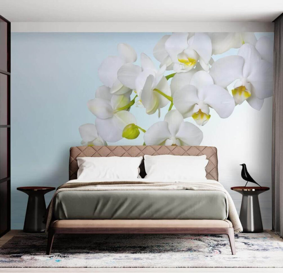 Białe orchidee nad wodą Białe orchidee nad wodą