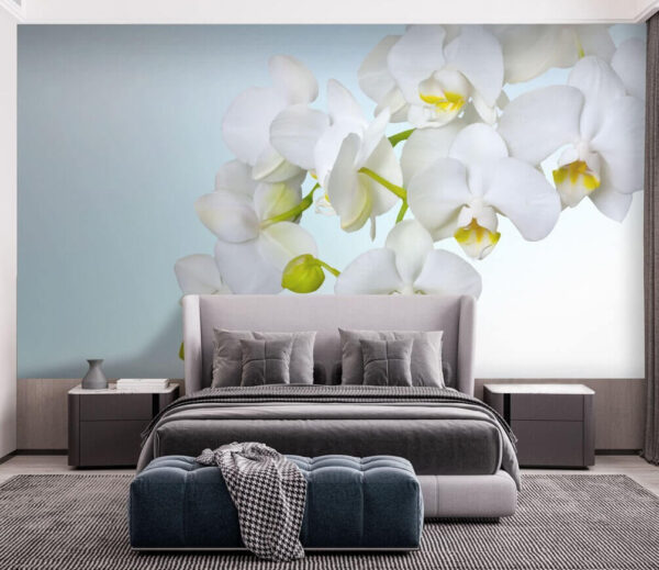 Białe orchidee nad wodą Białe orchidee nad wodą