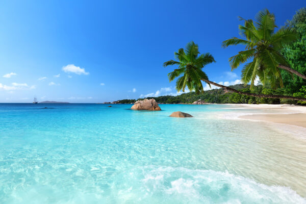 Plaża z palmami i błękitną wodą Plaża z palmami i błękitną wodą