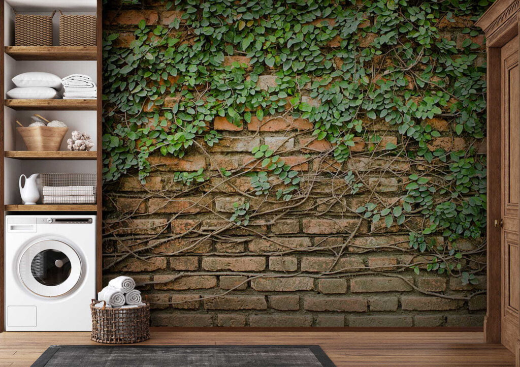 A brick wall with ivy growing on it A brick wall with ivy growing on it