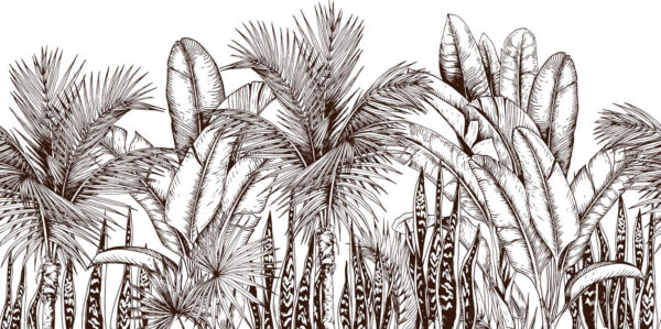 Grupa palm Grupa palm