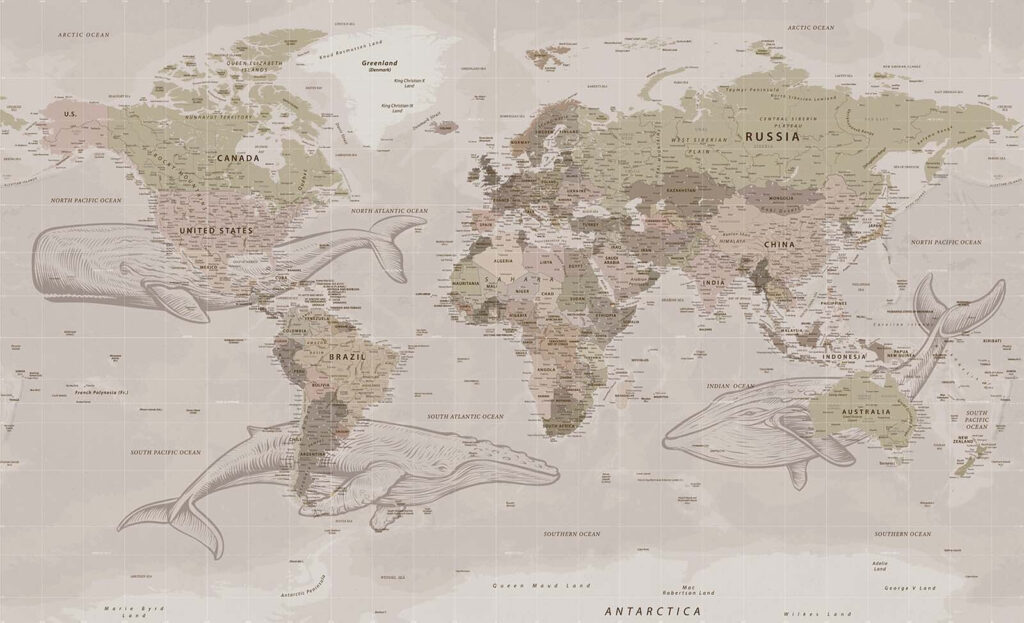 Mapa świata z wielorybami Mapa świata z wielorybami