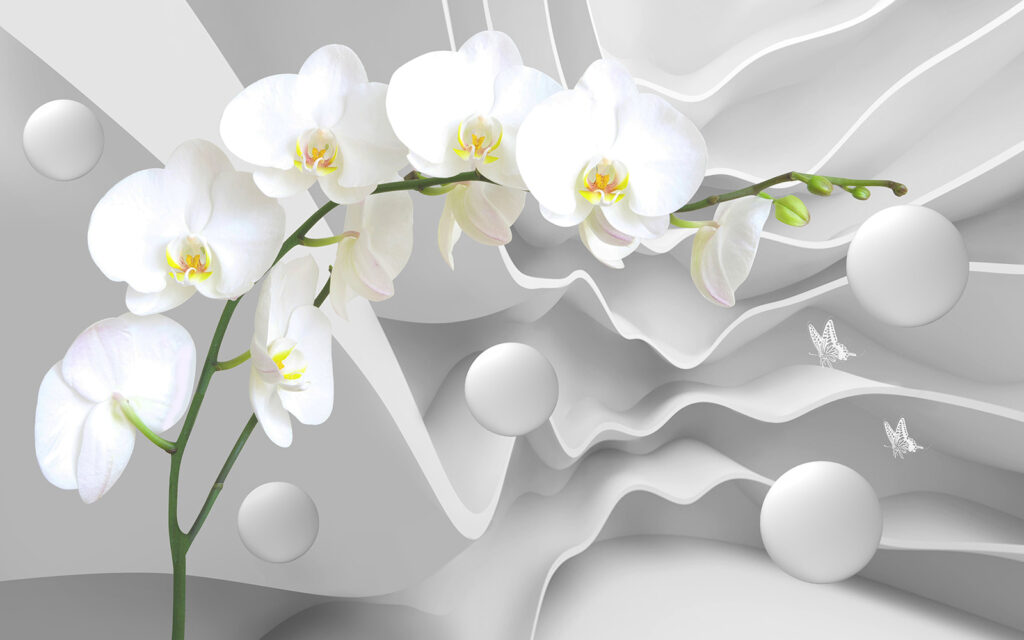 Białe orchidee i białe kule Białe orchidee i białe kule
