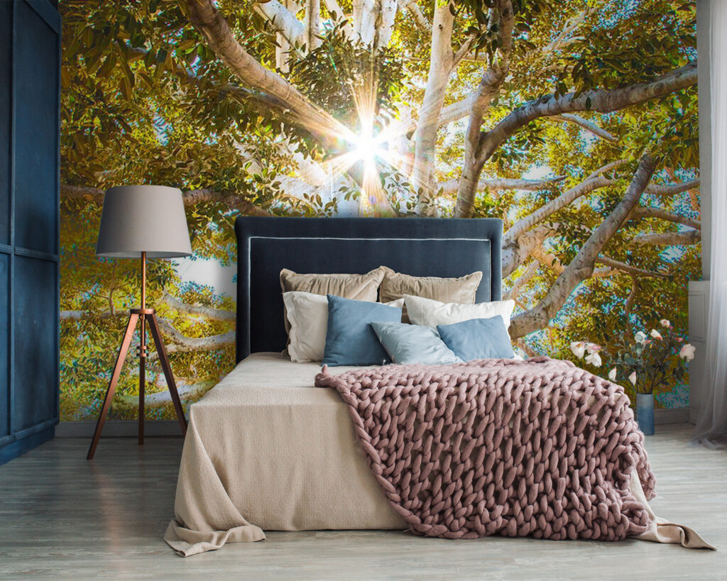 u01271pib87 1024x819 - Majestatyczne drzewo w promieniach słońca - tegory