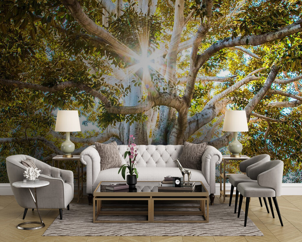 u01271pig43m 1024x819 - Majestatyczne drzewo w promieniach słońca - tegory