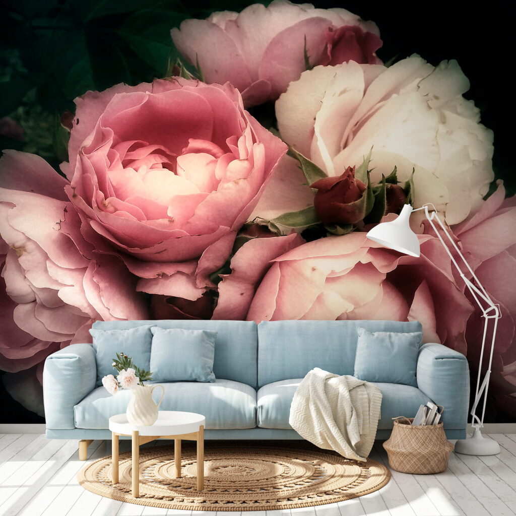 Group of pink and white roses Group of pink and white roses