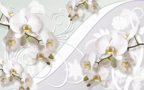 Delikatne orchidee w łagodnych odcieniach Delikatne orchidee w łagodnych odcieniach