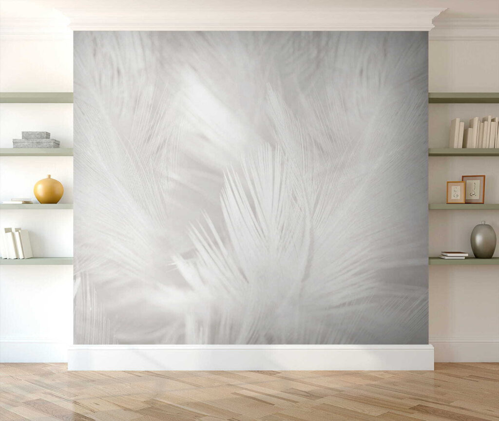 White feathers on a white surface