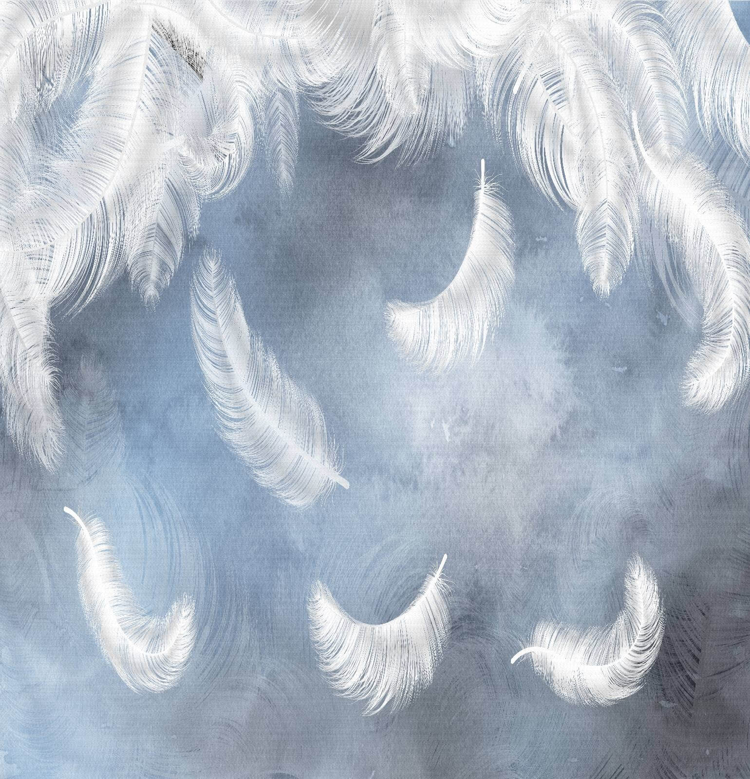 Białe pióra na niebieskim tle u23747p - Białe pióra na niebieskim tle - tegory