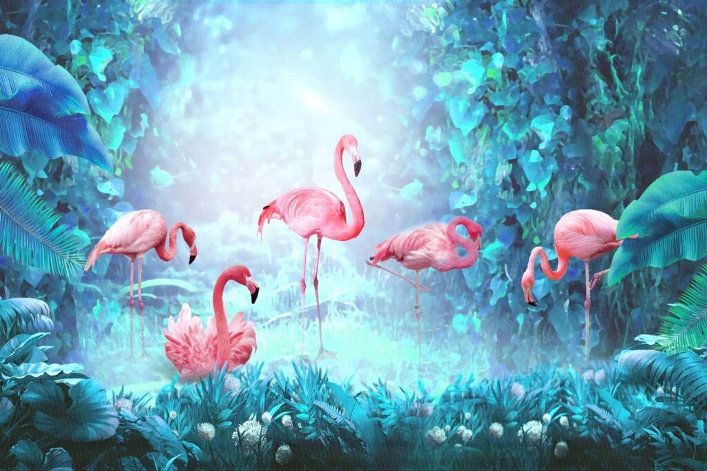 Grupa różowych flamingów w lesie Grupa różowych flamingów w lesie