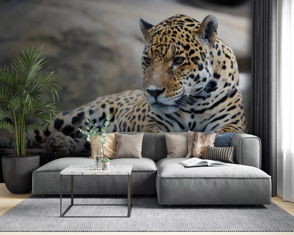 u55313pig53 1024x819 - Lampart leżący na drewnianej powierzchni - tegory