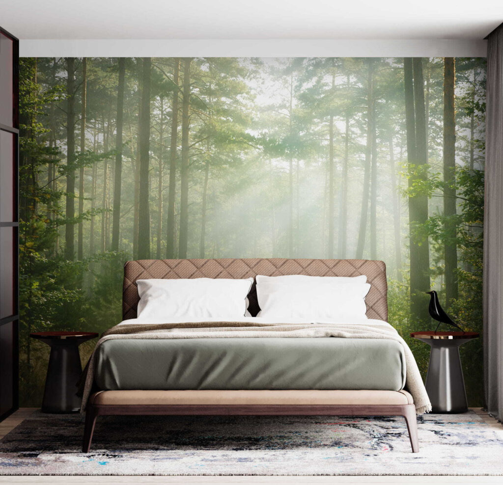 Path through a forest with trees and bushes