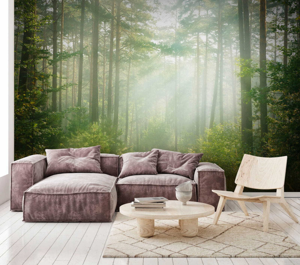 Path through a forest with trees and bushes