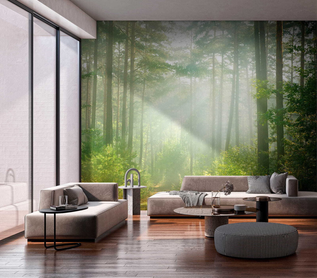 Path through a forest with trees and bushes