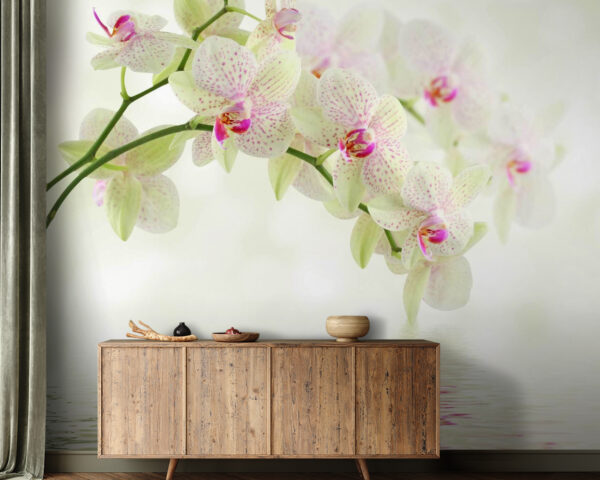 Delikatne orchidee nad łagodną wodą. Delikatne orchidee nad łagodną wodą.