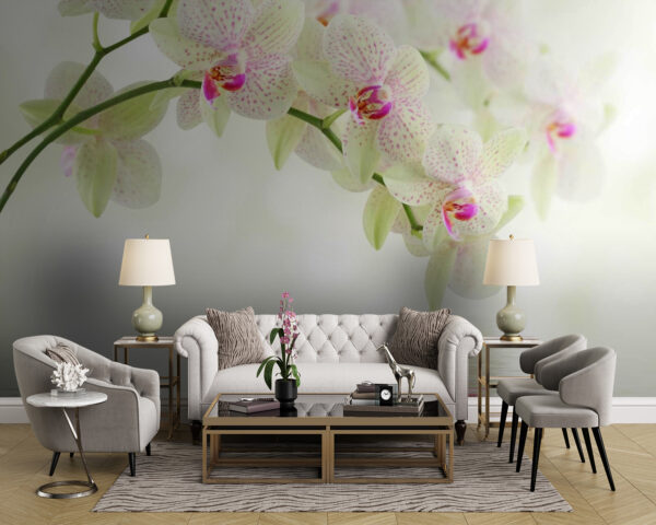 Delikatne orchidee nad łagodną wodą. Delikatne orchidee nad łagodną wodą.