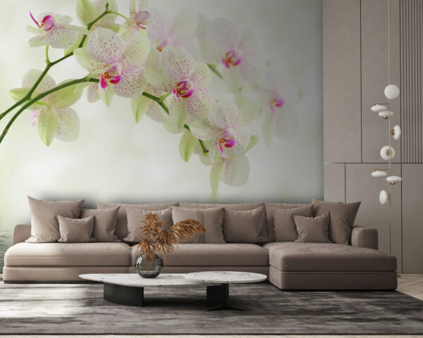 Delikatne orchidee nad łagodną wodą. Delikatne orchidee nad łagodną wodą.