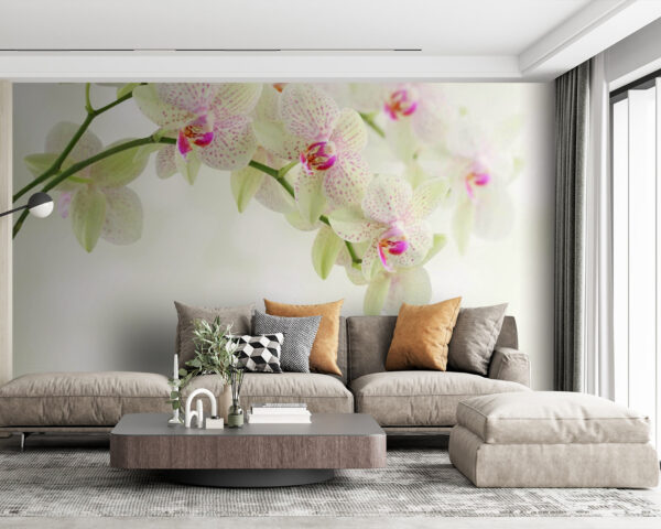 Delikatne orchidee nad łagodną wodą. Delikatne orchidee nad łagodną wodą.