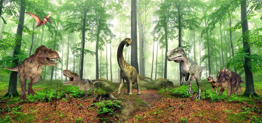 Grupa dinozaurów w lesie Grupa dinozaurów w lesie