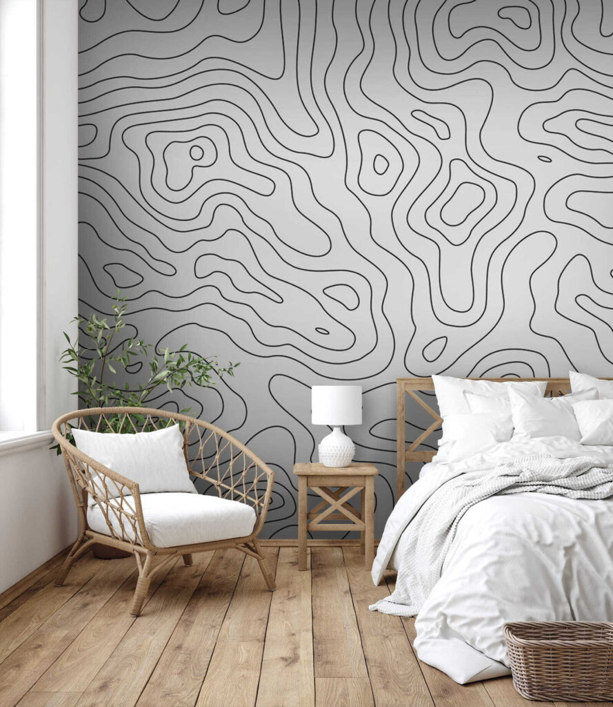 Black and white contour lines Black and white contour lines