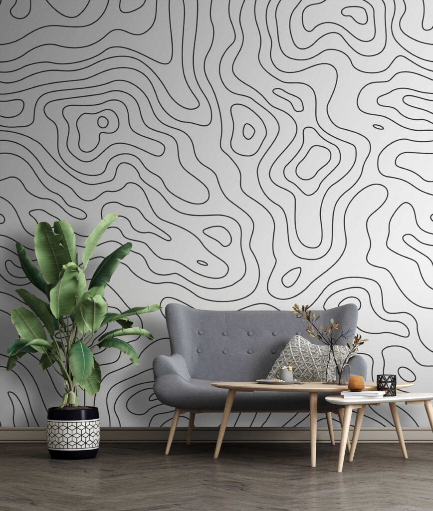 Black and white contour lines Black and white contour lines