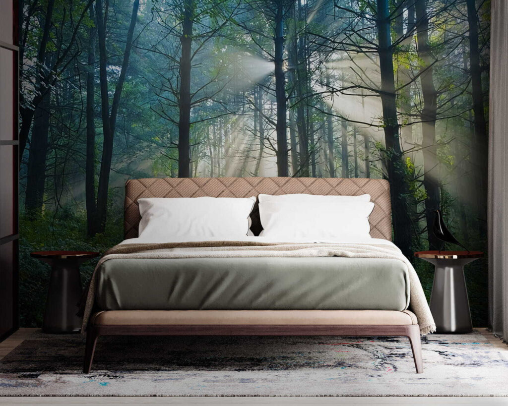 u70959pib1m 1024x819 - Słońce świecące przez drzewa w lesie - tegory