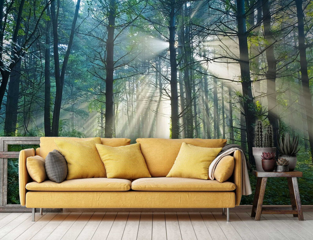 u70959pig1 1024x785 - Słońce świecące przez drzewa w lesie - tegory