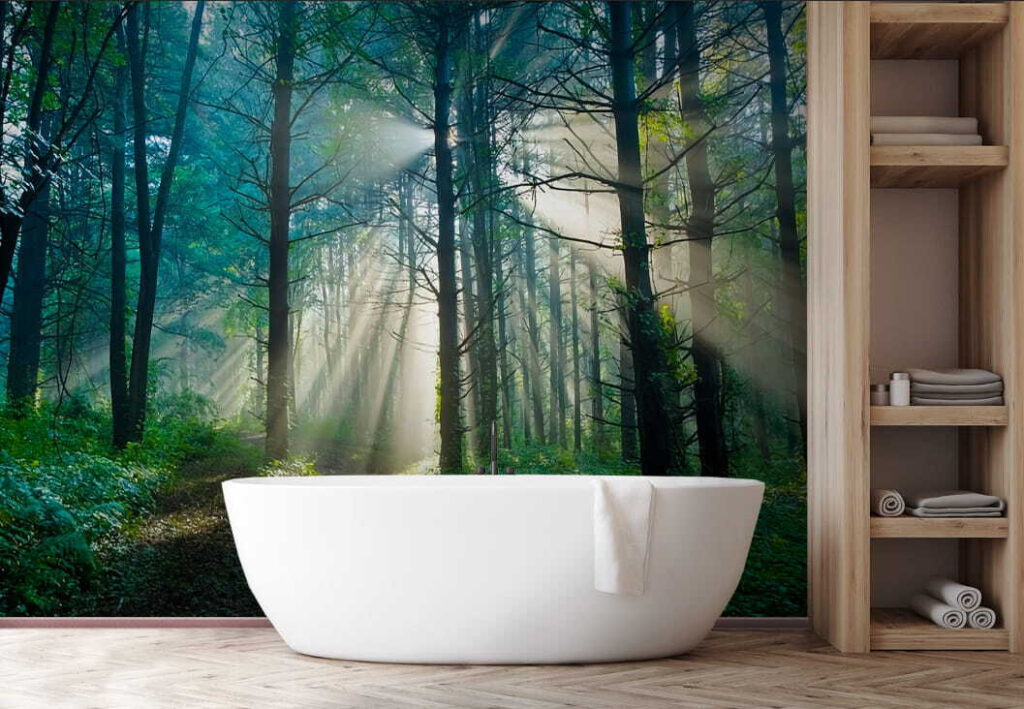 u70959pit1 1024x709 - Słońce świecące przez drzewa w lesie - tegory