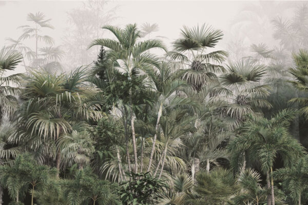Grupa palm Grupa palm