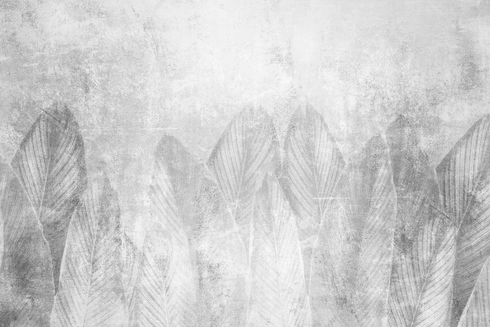 White and grey background with leaves White and grey background with leaves